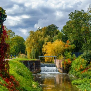 Herbst am Canal